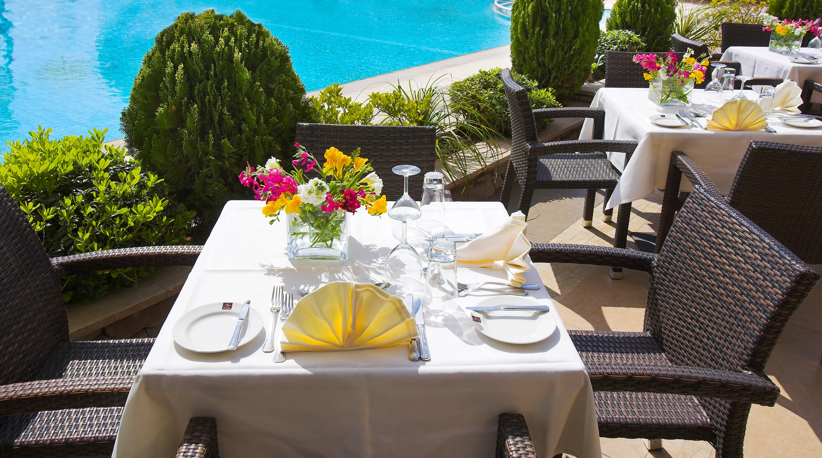 Ajax Hotel - foodAndBeverage