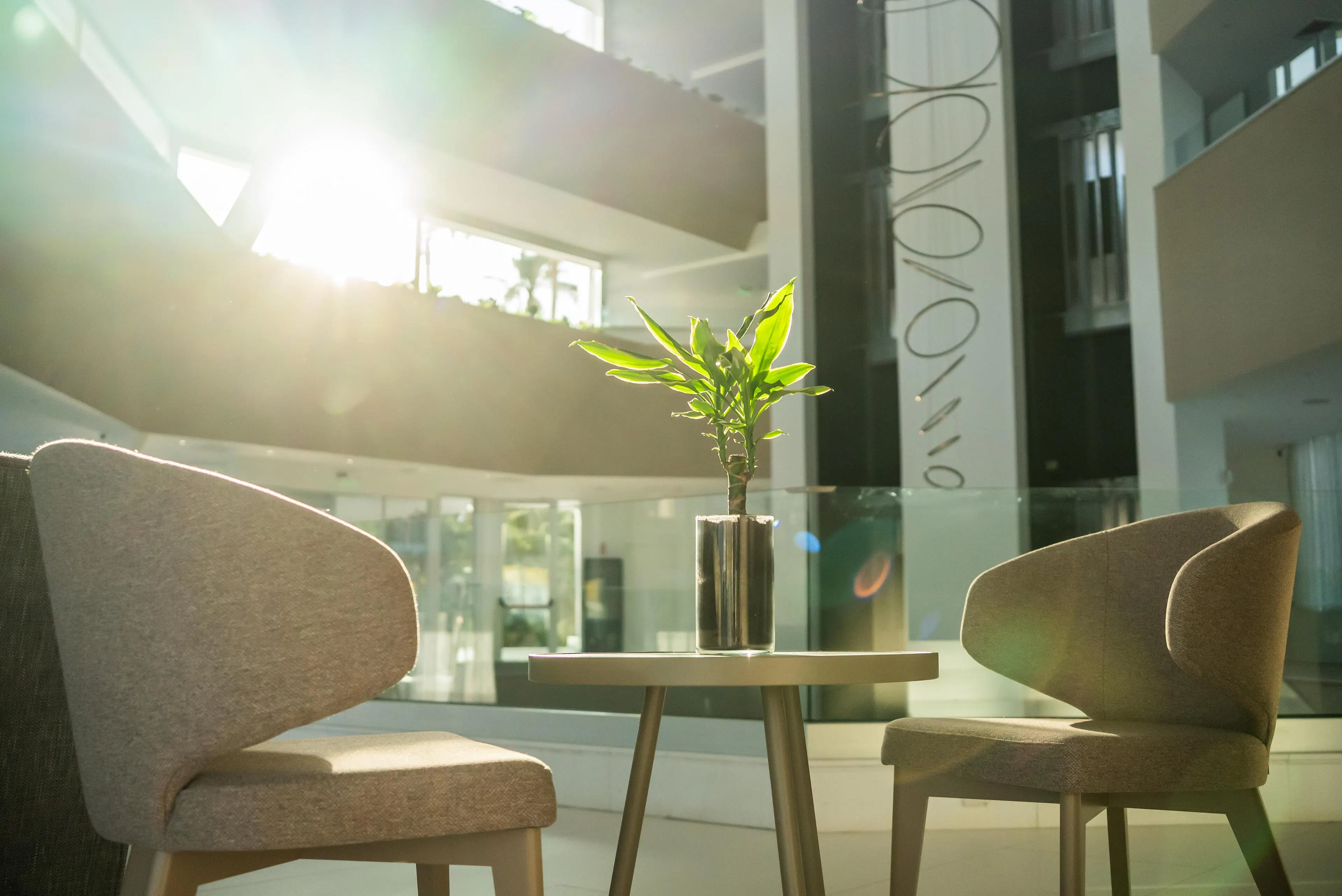 Margadina Lounge Hotel - facilities