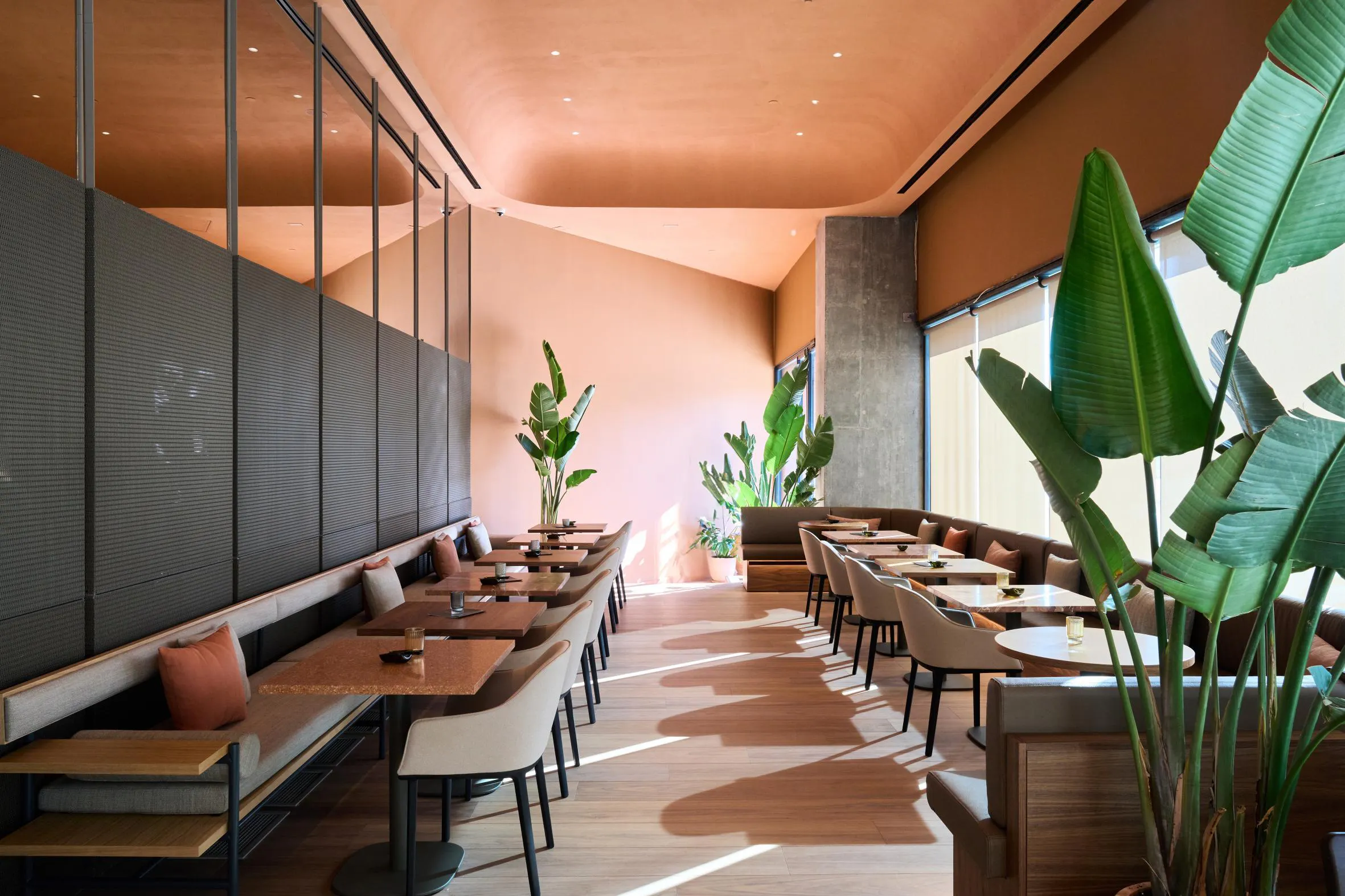 Barcelona Princess - foodAndBeverage