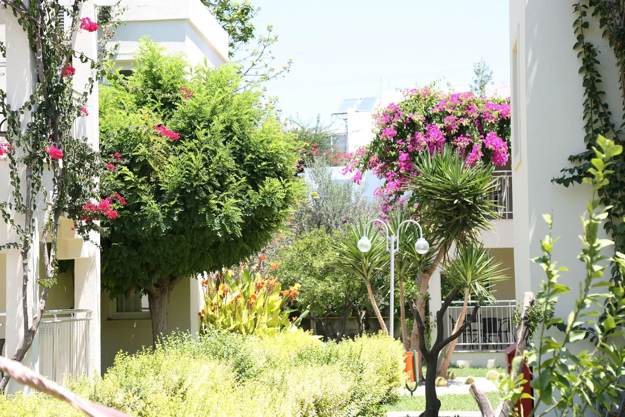 Mandarin Resort - location