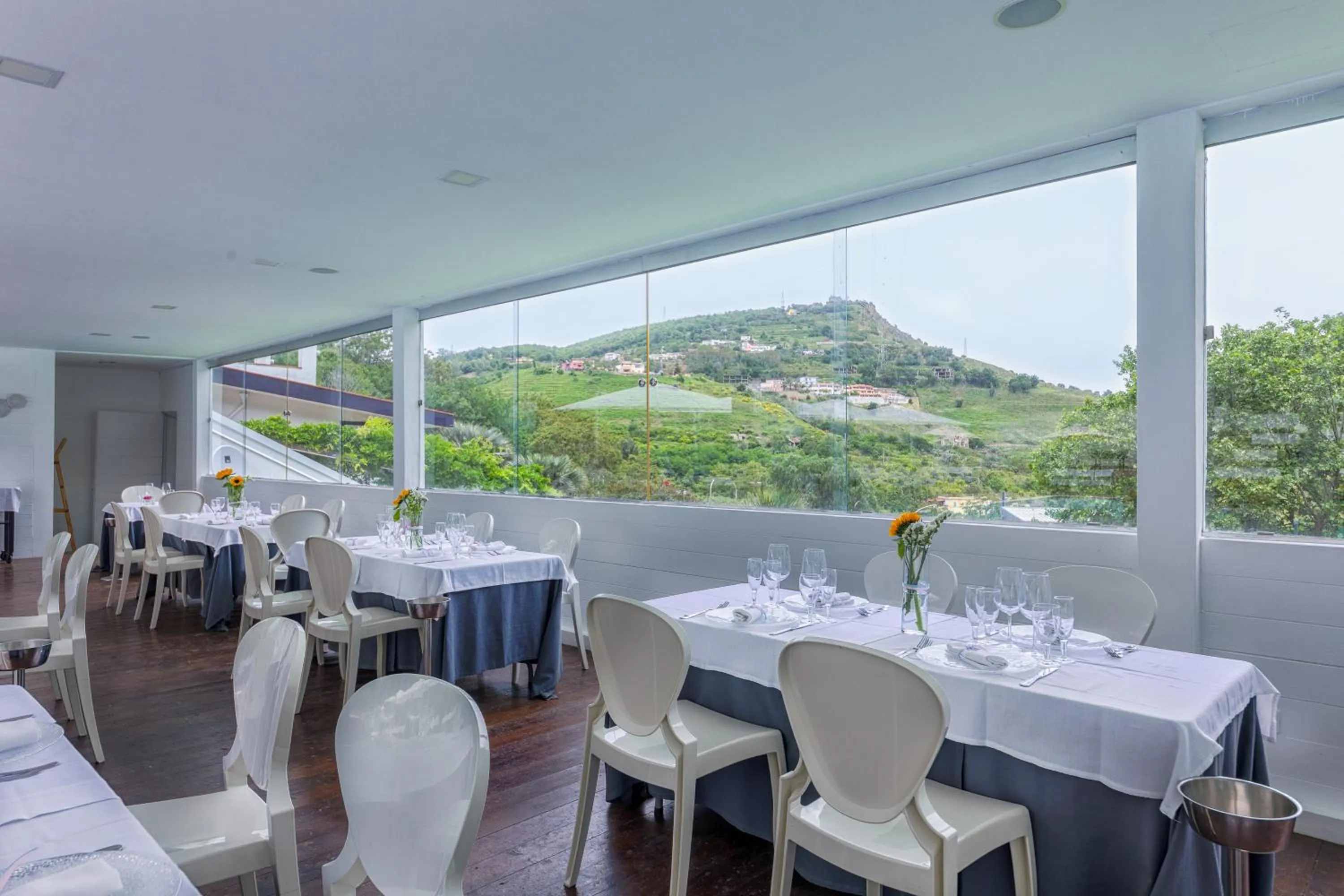 Agave Hotel - foodAndBeverage
