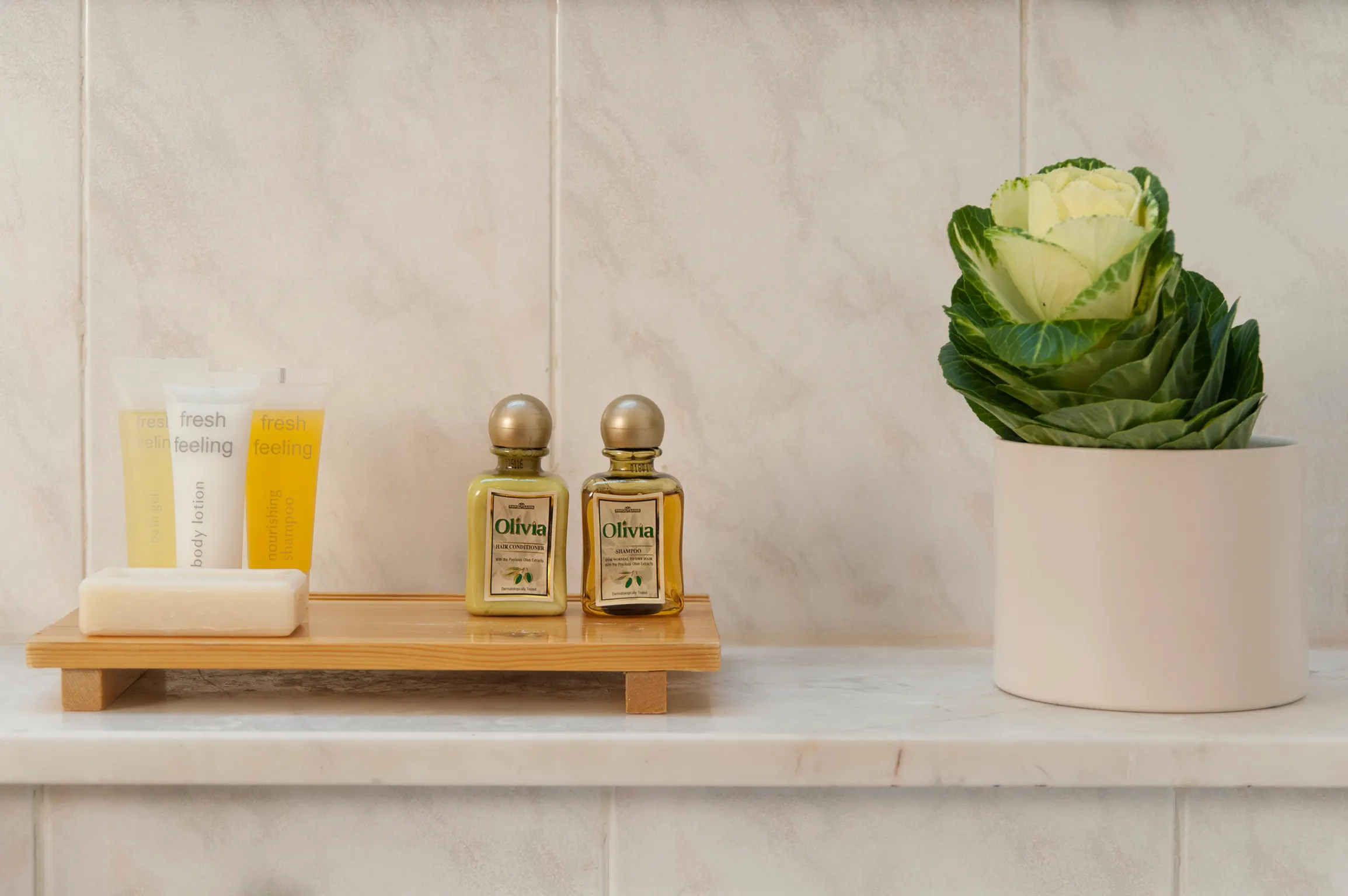 Ajax Hotel - foodAndBeverage