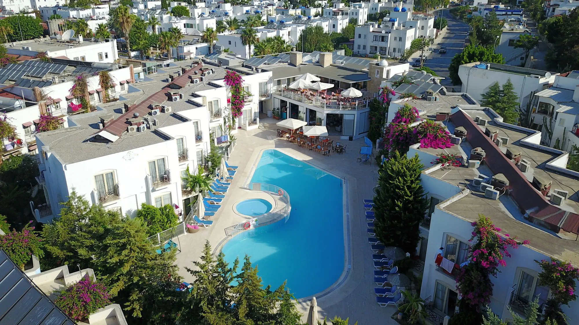 Serpina - pool
