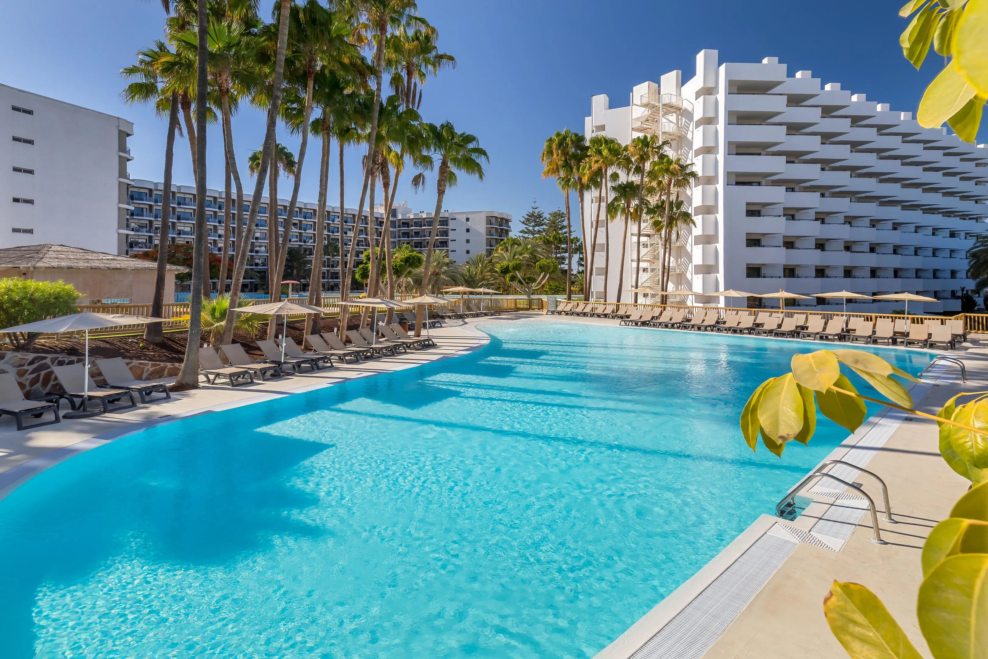 Barcelo Margaritas Royal Level - pool