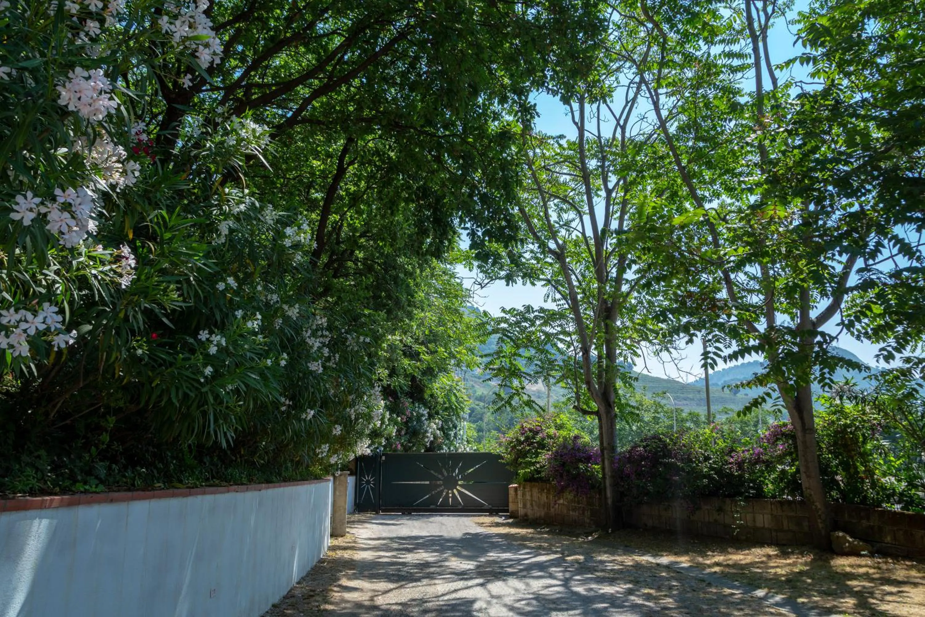 Agave Hotel - location