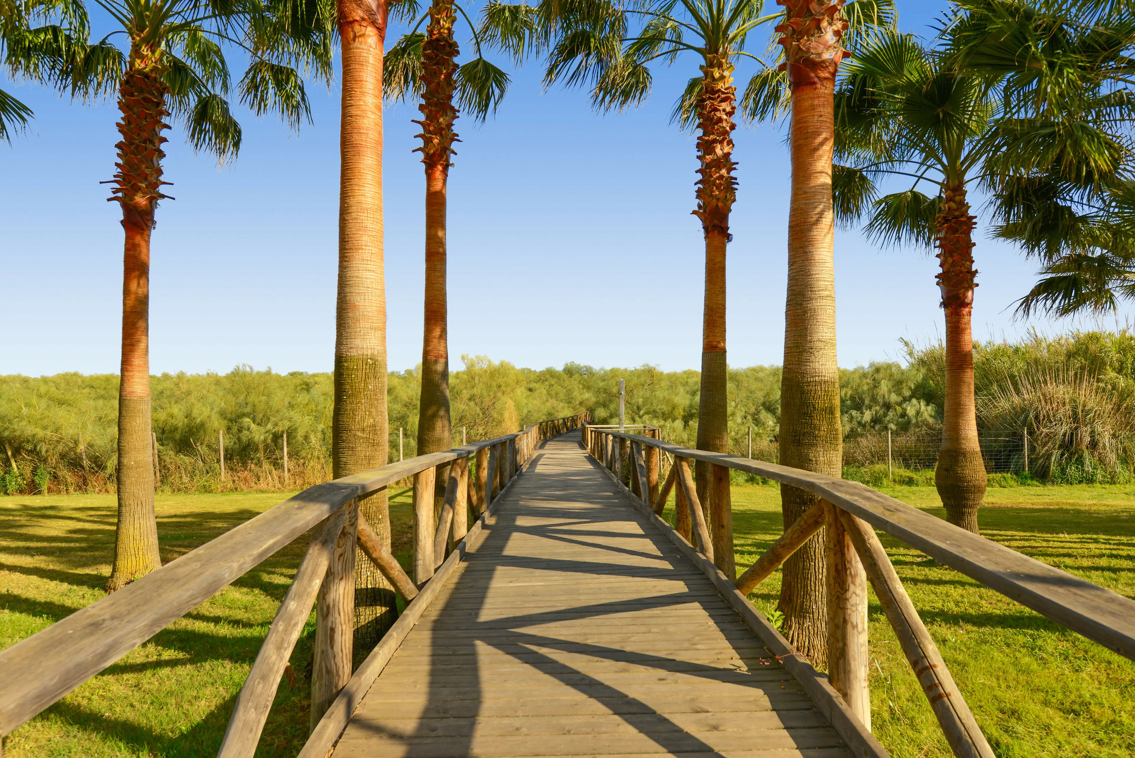 Vila Gale Isla Canela - location