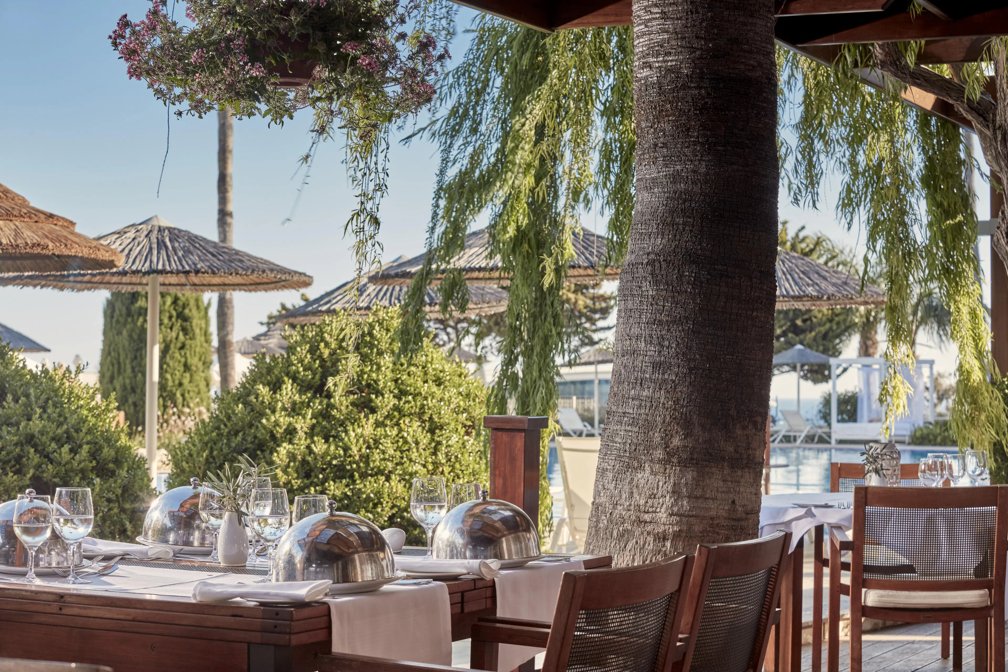 Atlantica Bay - foodAndBeverage