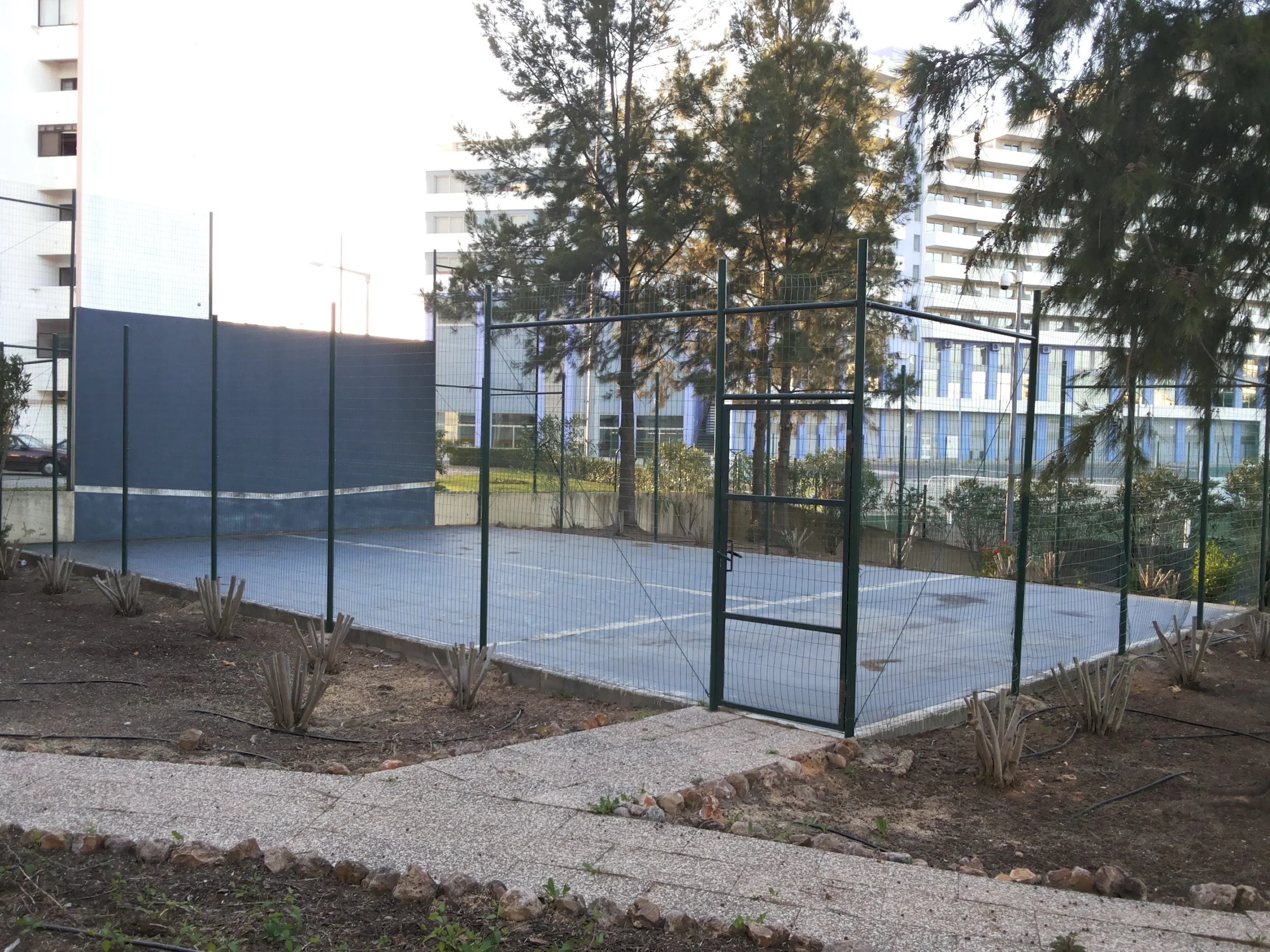 Plaza Real - sport