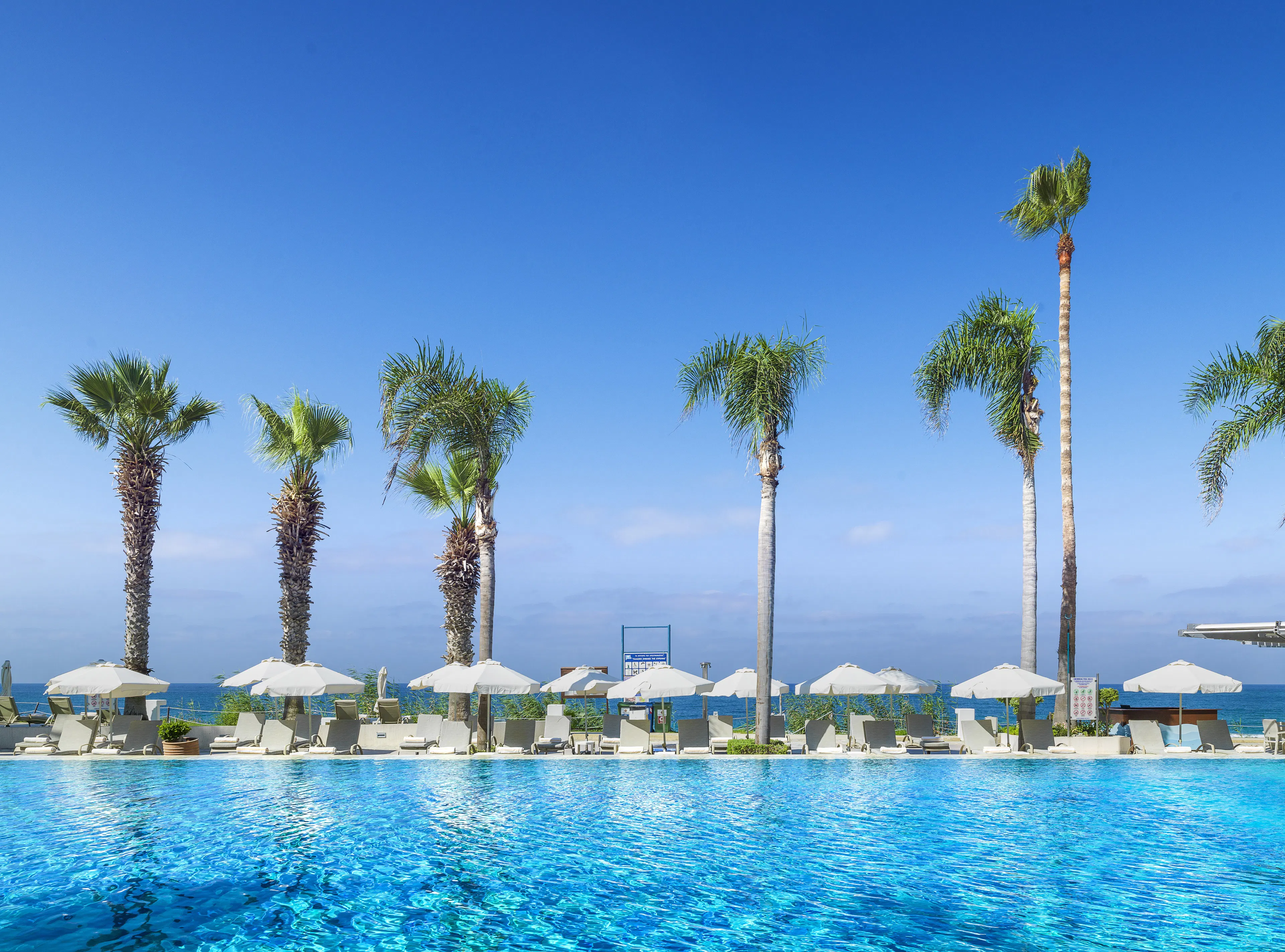 Alexander The Great Beach Hotel - pool