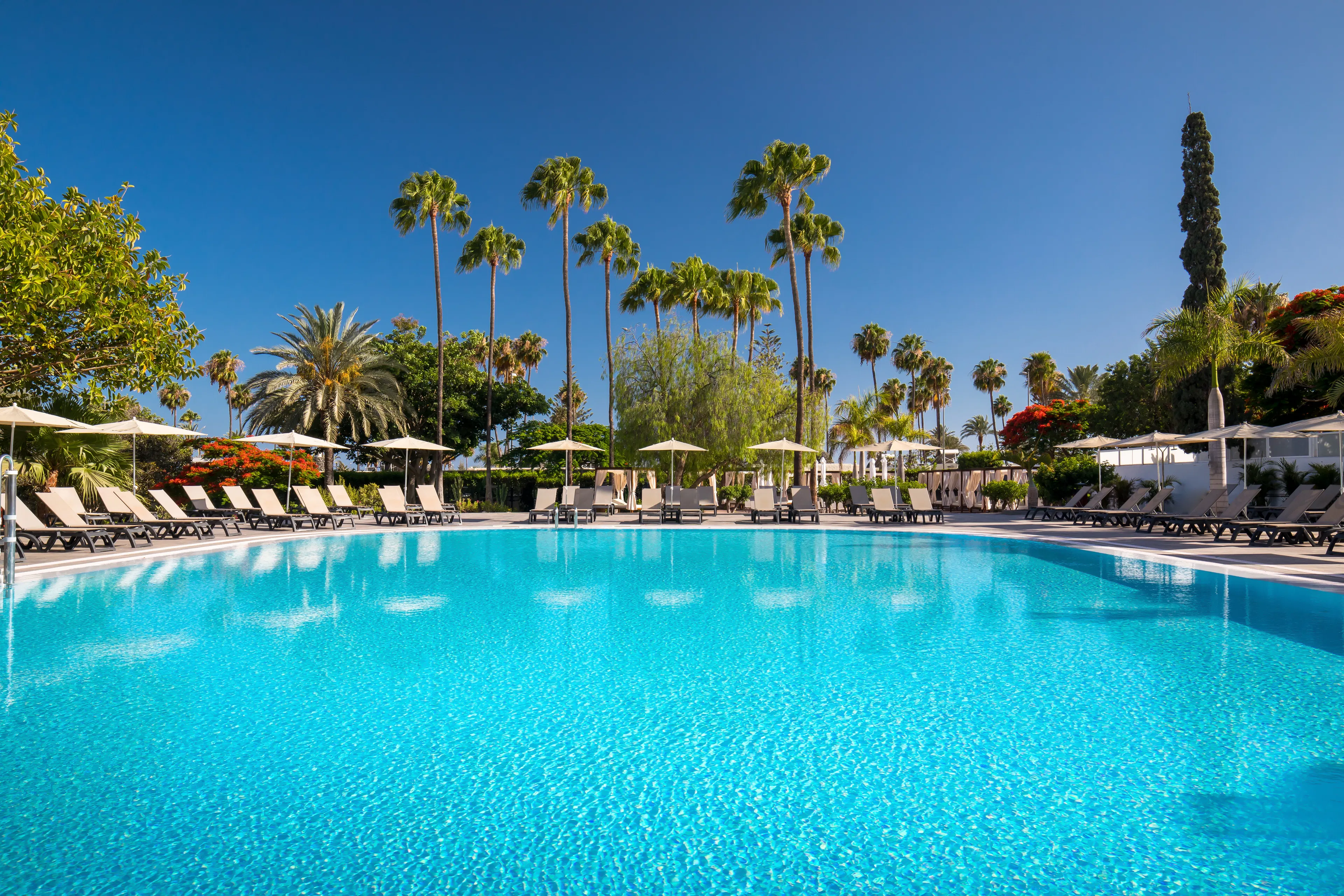 Barcelo Margaritas Royal Level - pool