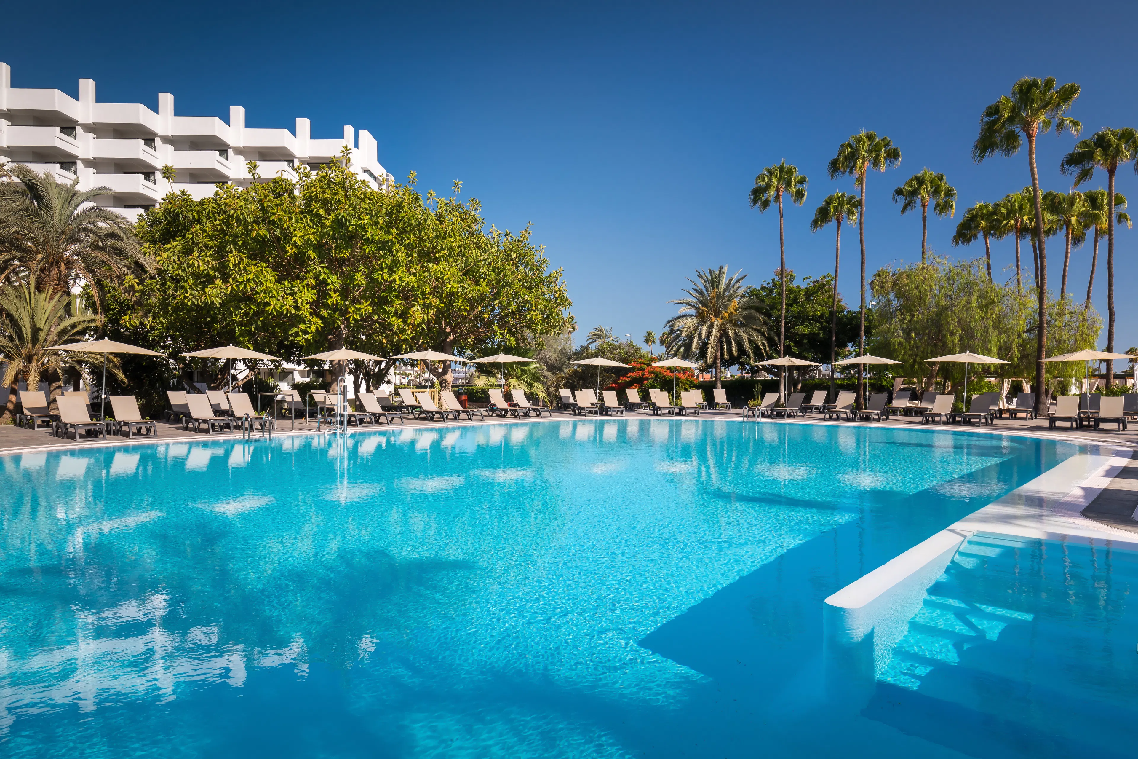 Barcelo Margaritas Royal Level - pool