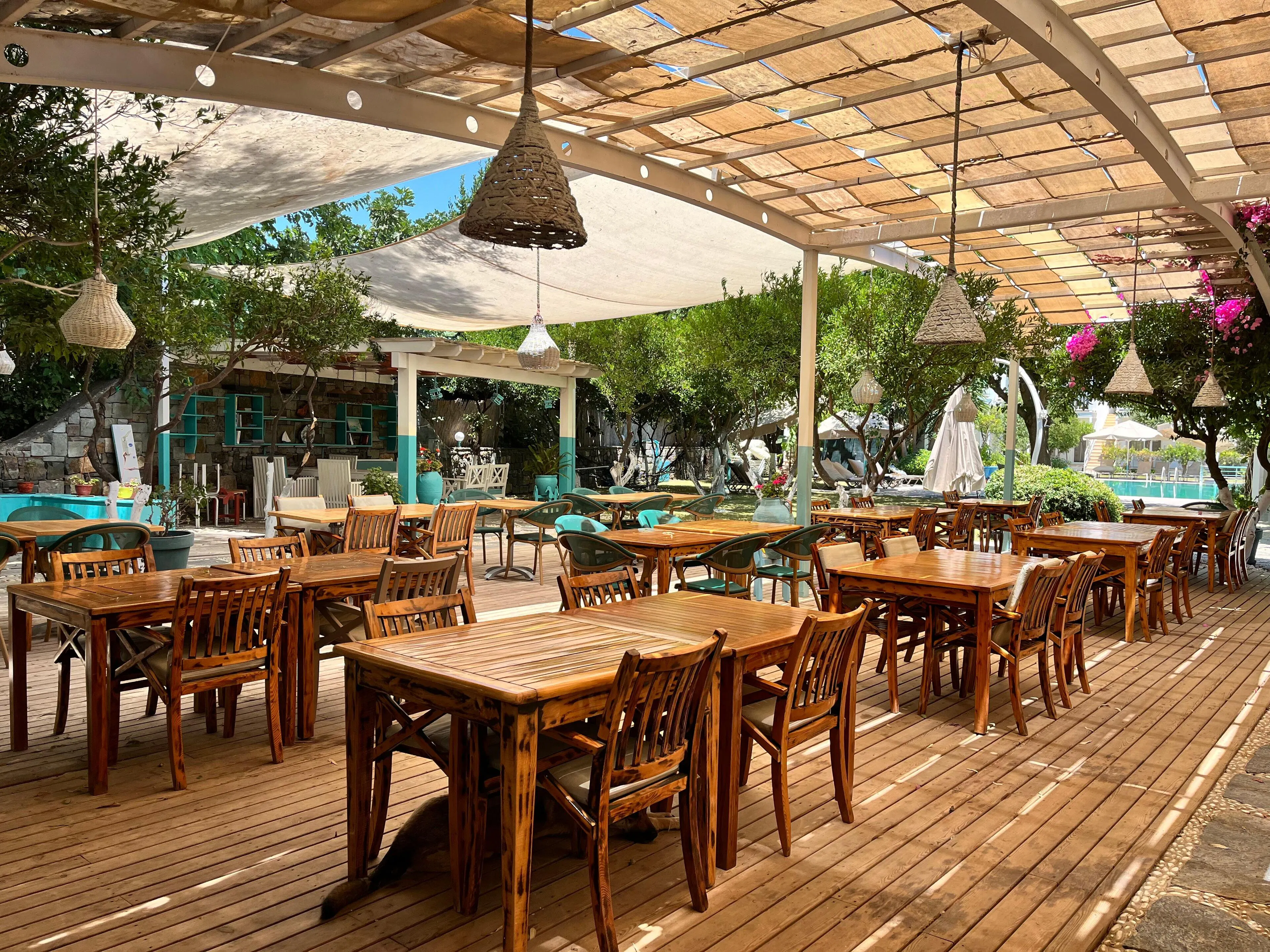 Gümüslük - foodAndBeverage