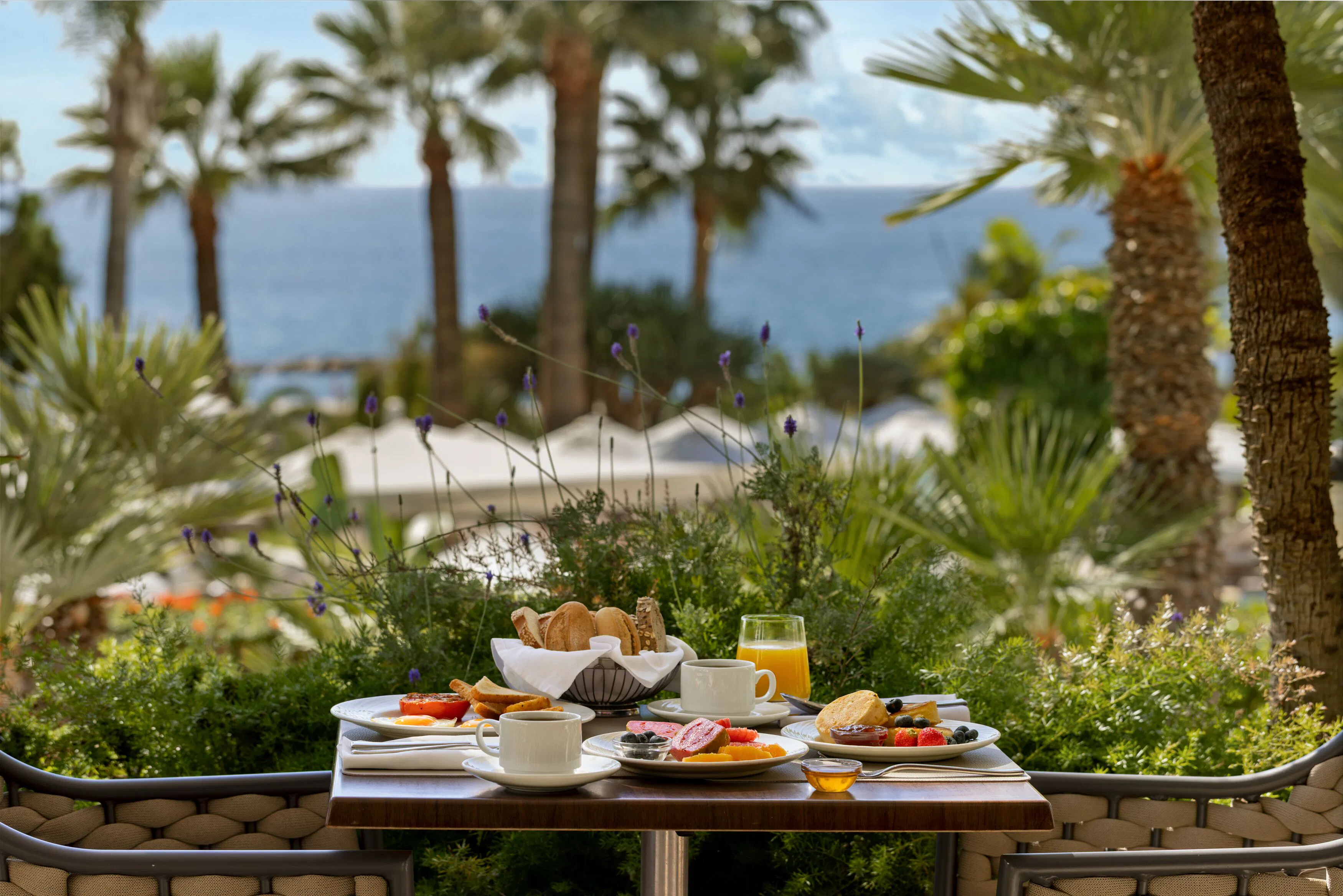 Hotel Mediterranean Beach - foodAndBeverage