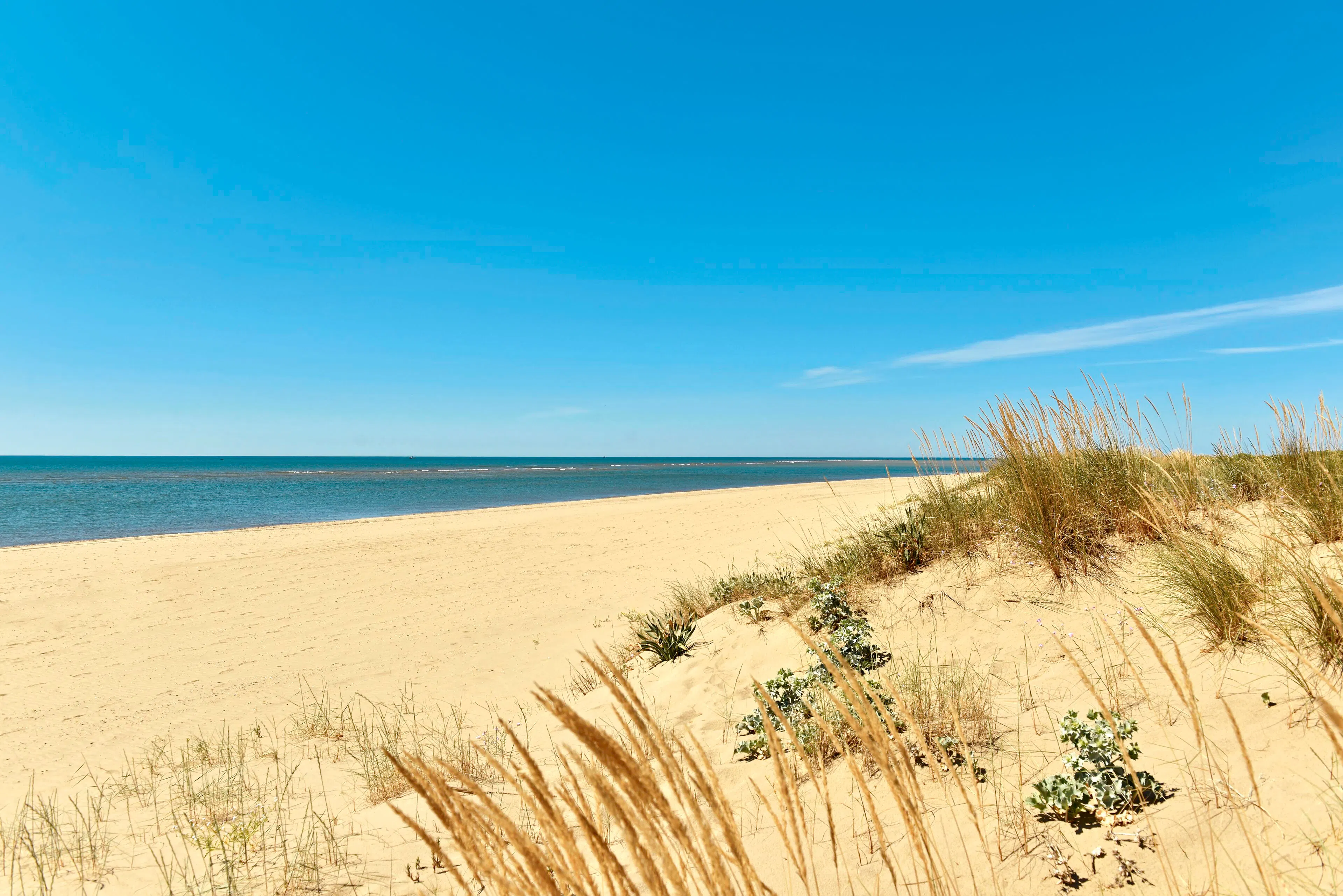 Vila Gale Isla Canela - beach