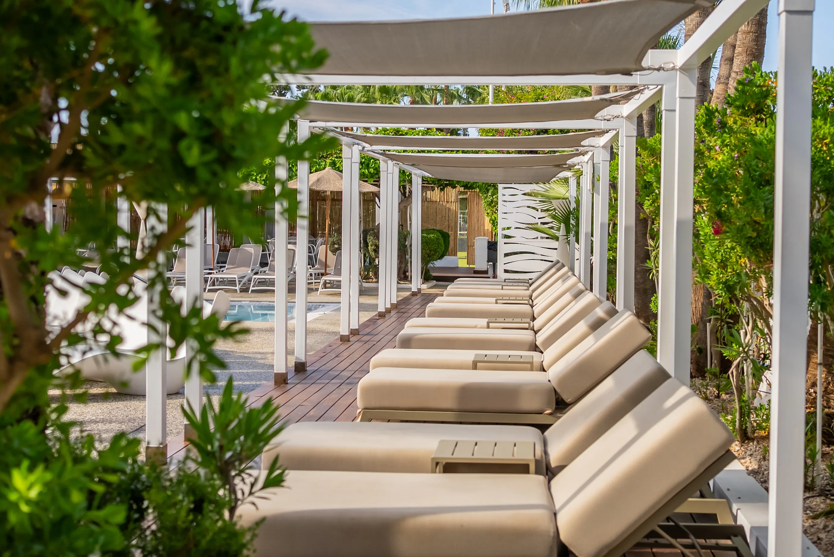 Margadina Lounge Hotel - pool