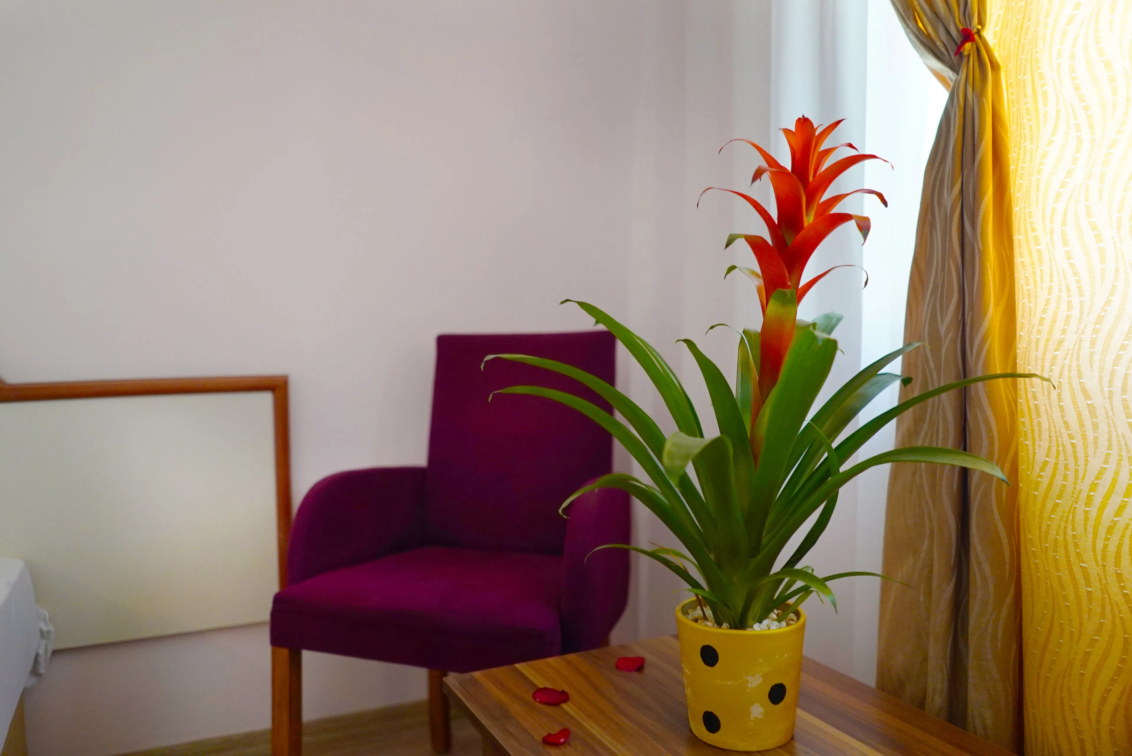 Ergün Hotel - rooms