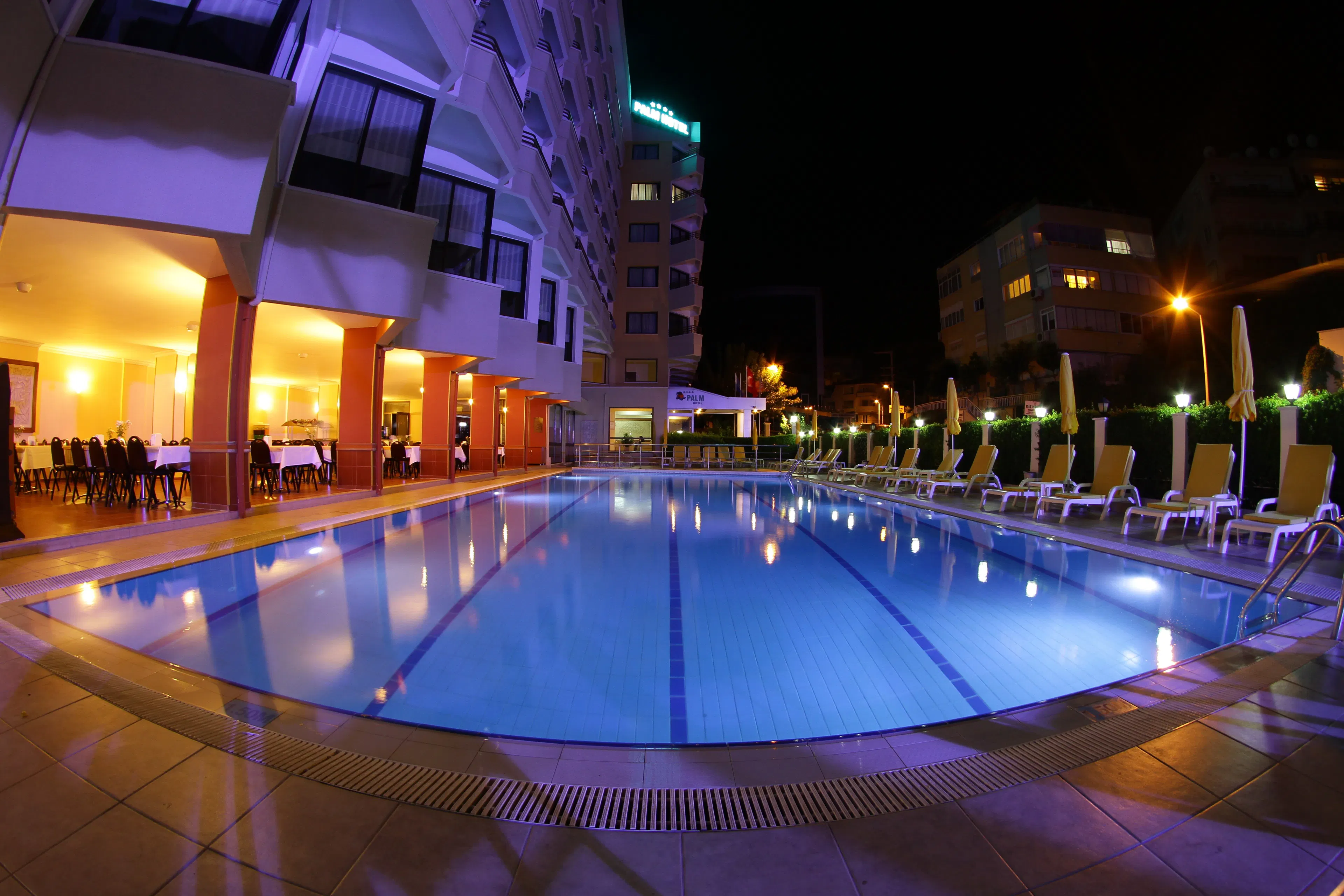 Palm Hotel - pool