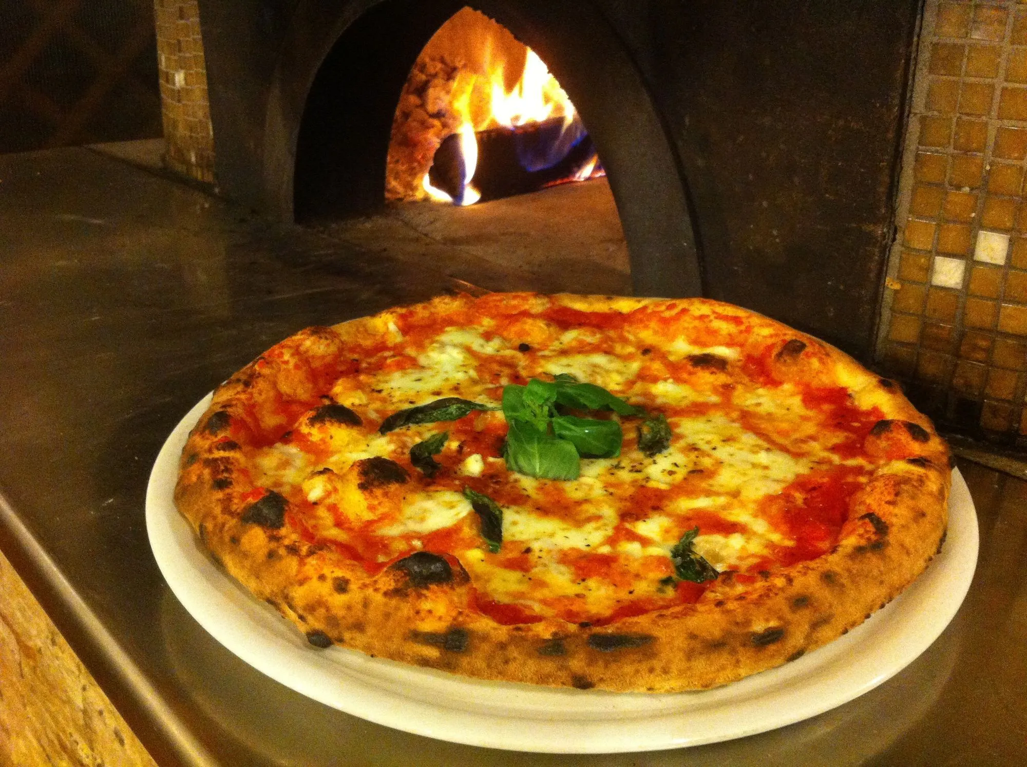 Agave Hotel - foodAndBeverage