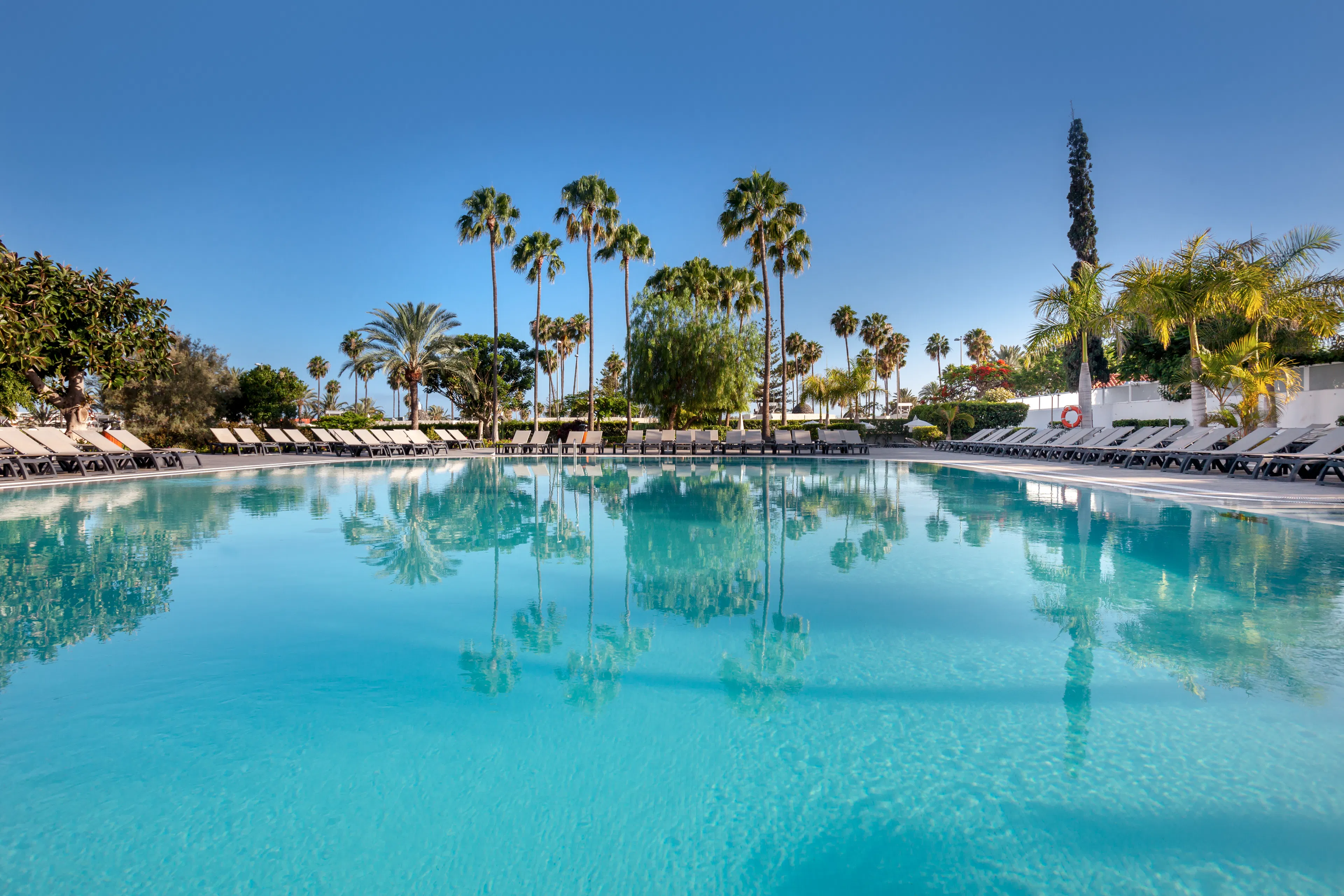 Barcelo Margaritas Royal Level - pool