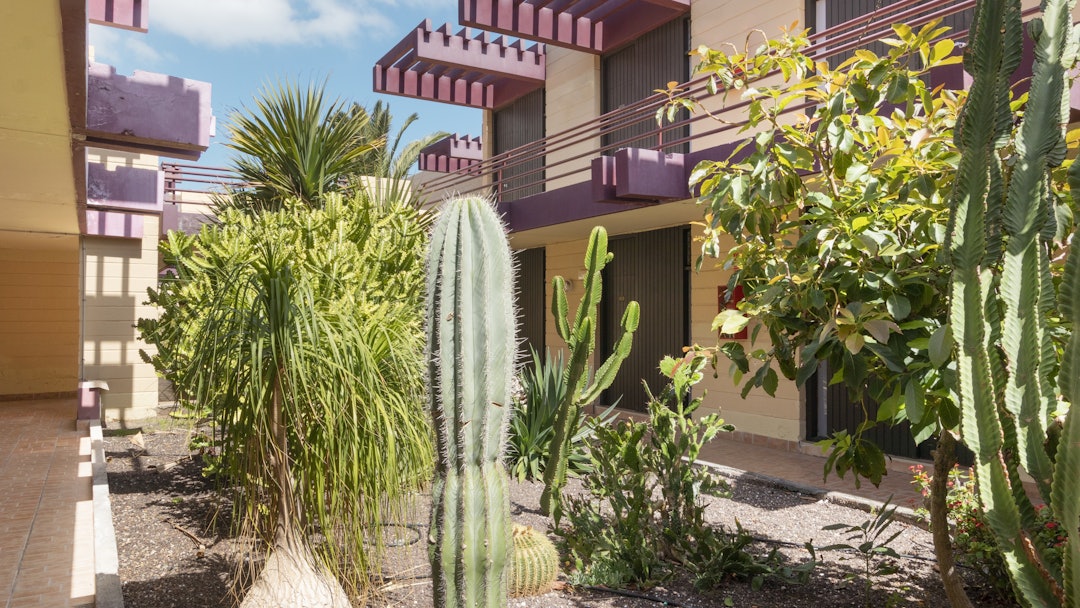 Hotel Palia Don Pedro