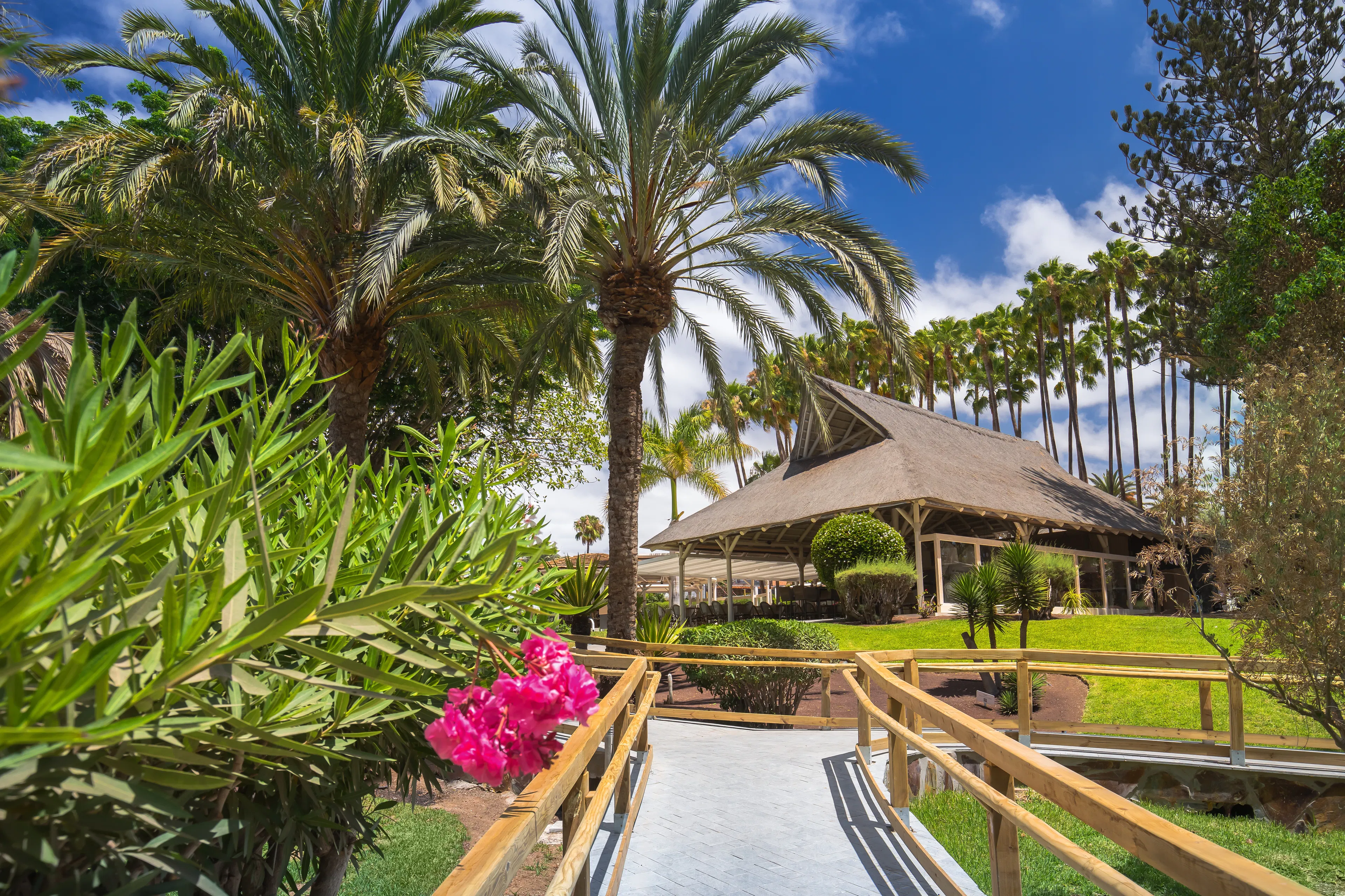 Barcelo Margaritas Royal Level - exterior