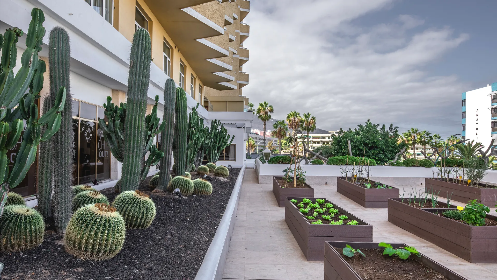 Be Live Adults Only Tenerife - location