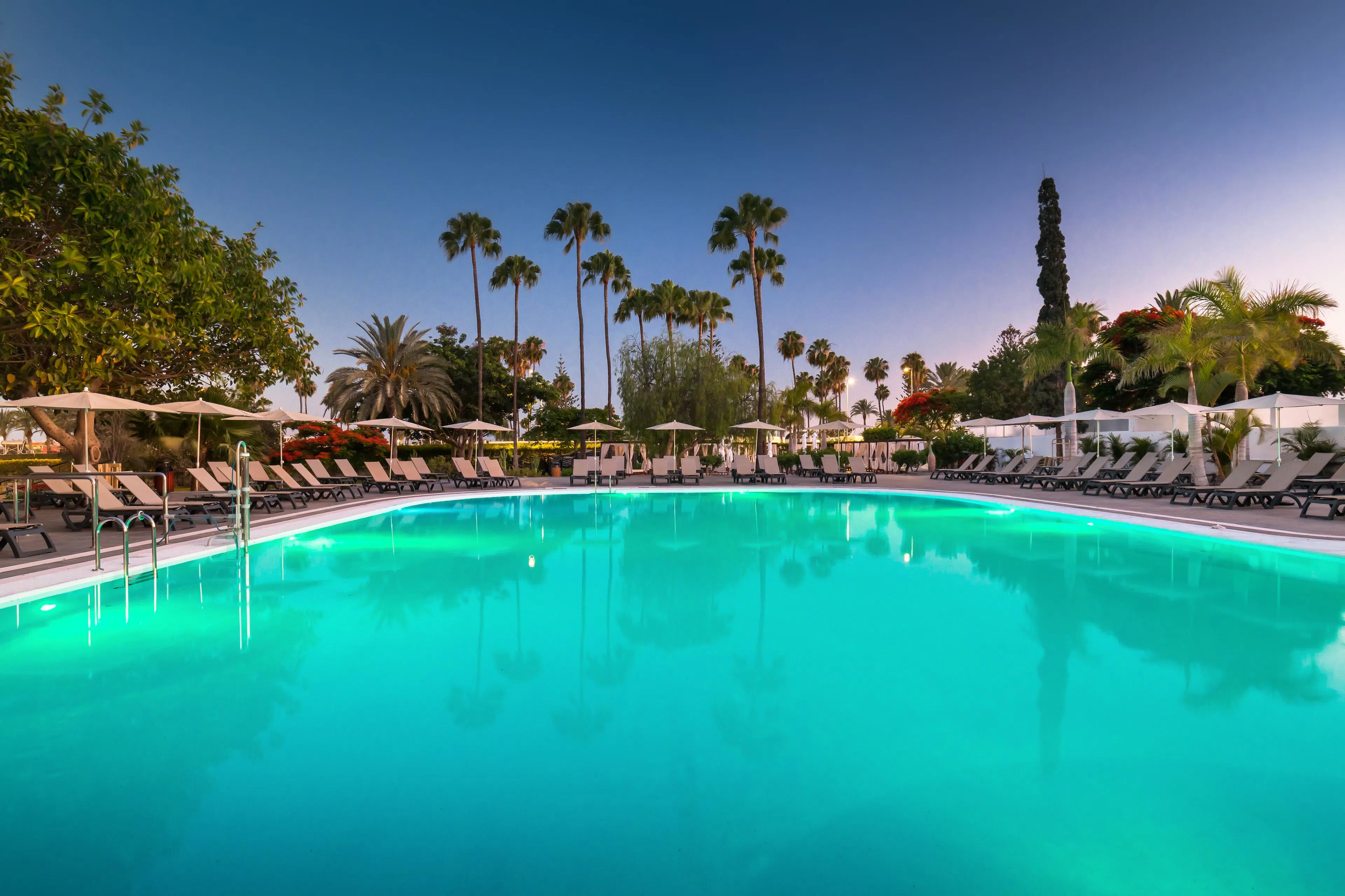 Barcelo Margaritas Royal Level - pool