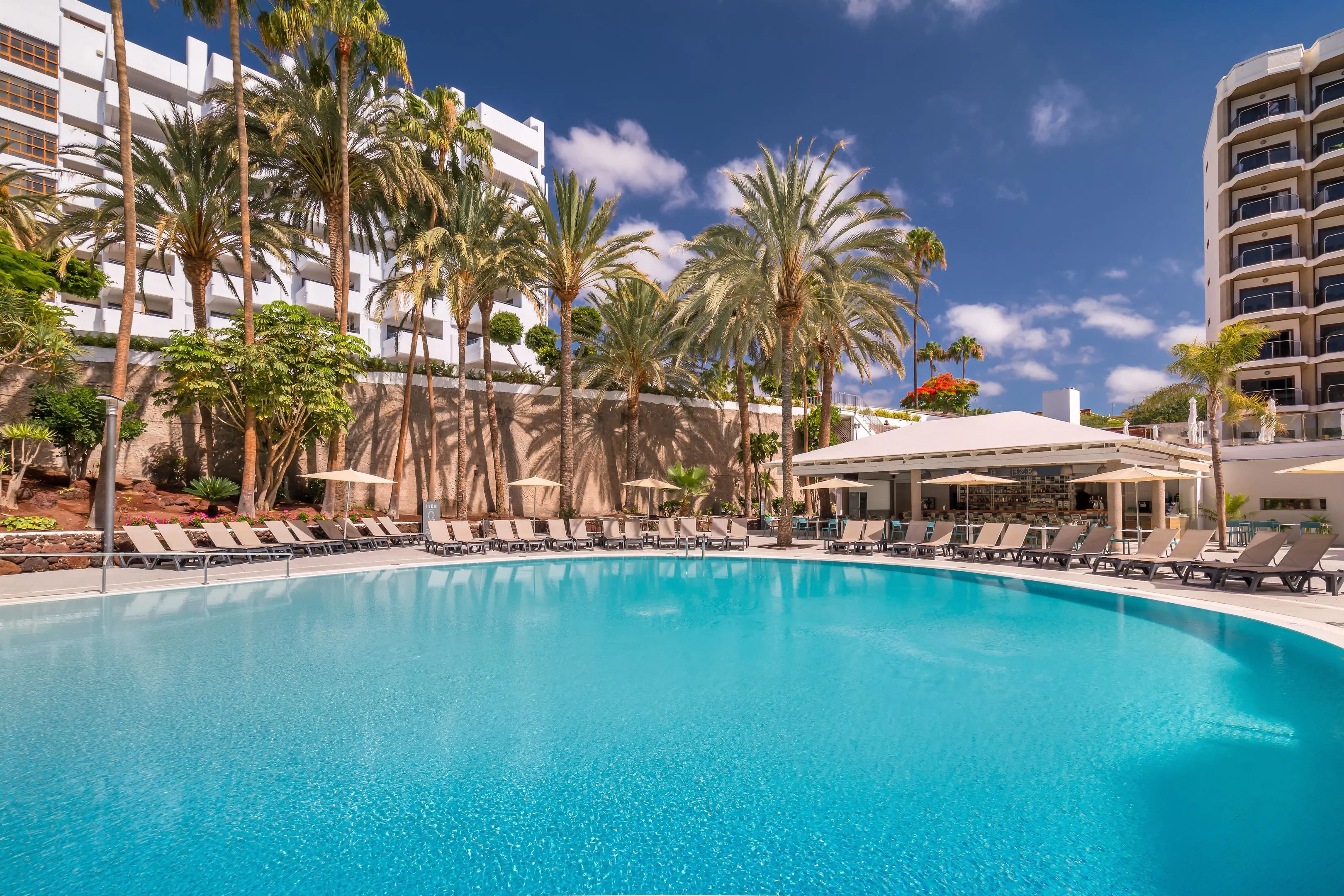 Barcelo Margaritas Royal Level - pool