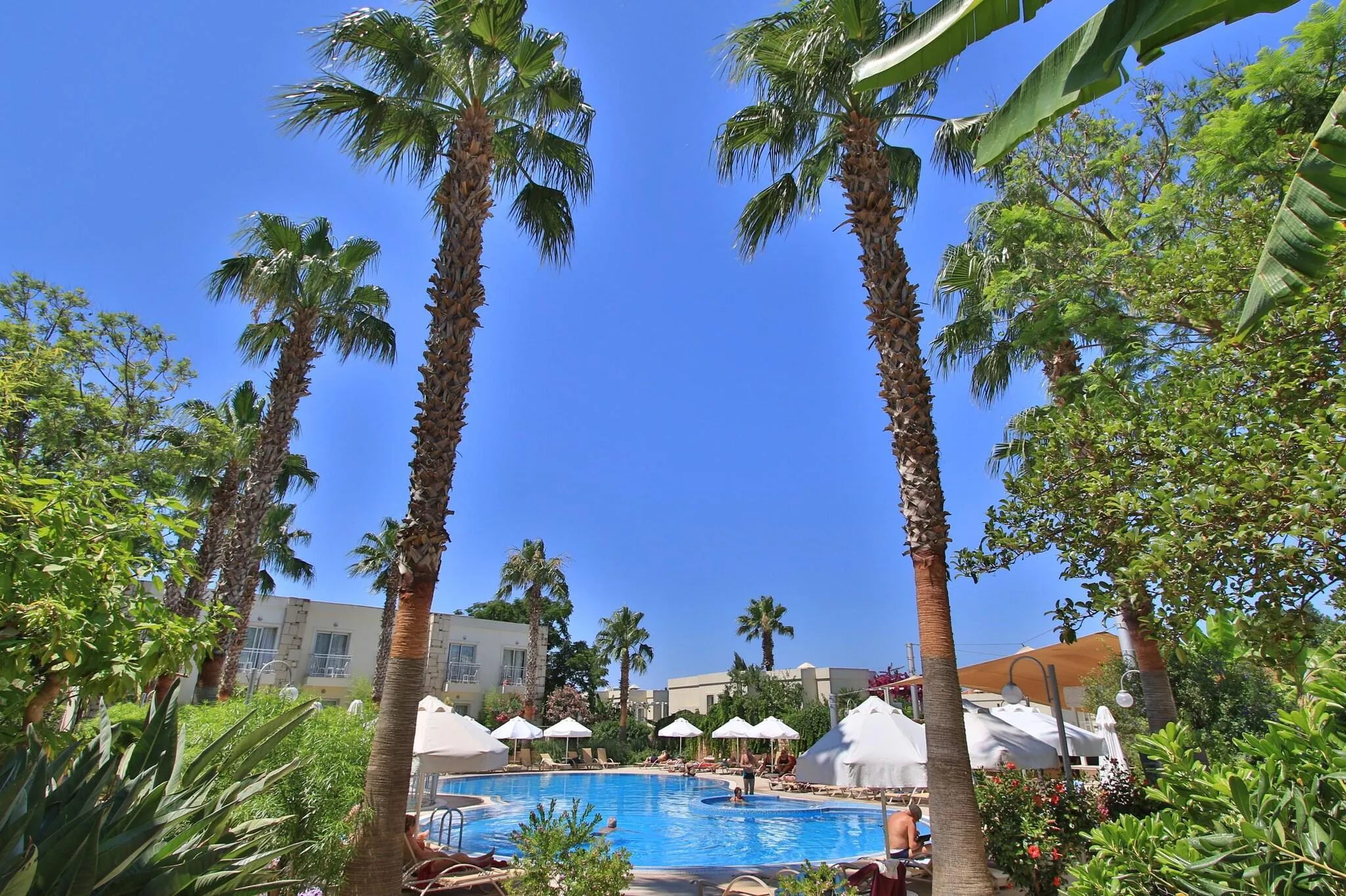 Mandarin Resort - pool