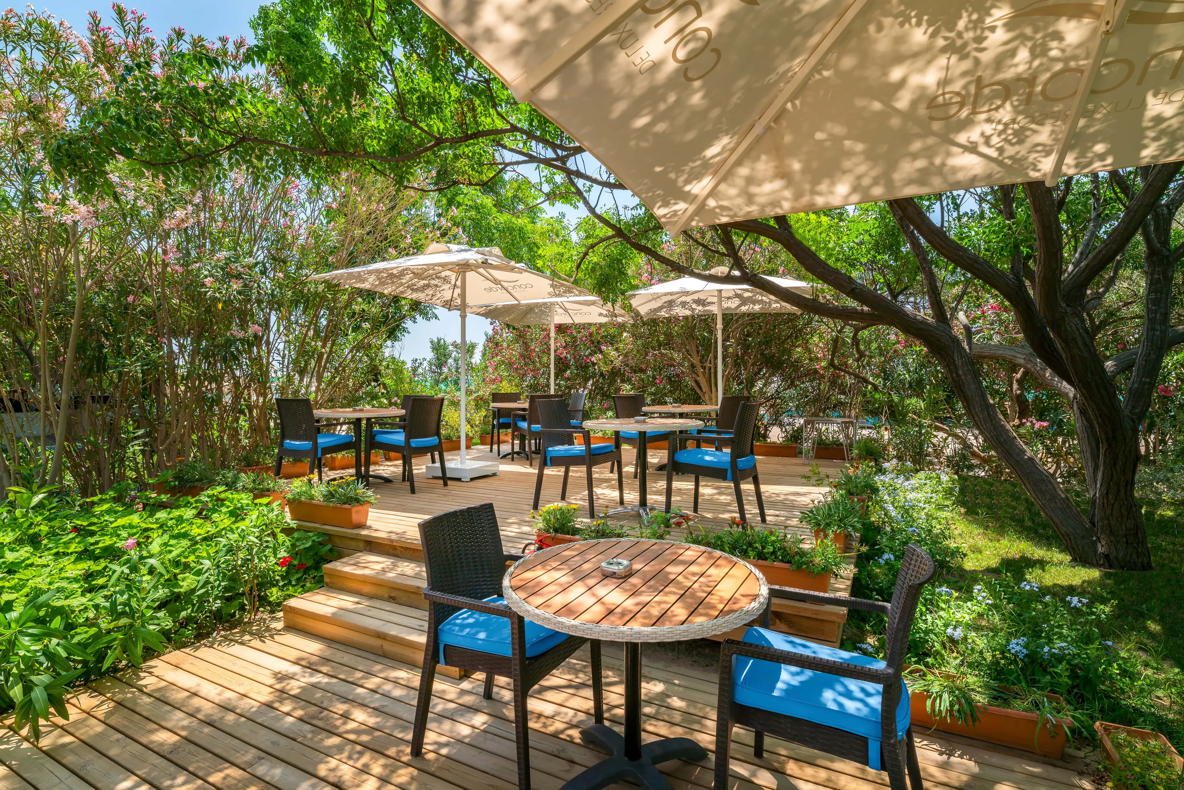 Concorde de Luxe Resort - foodAndBeverage