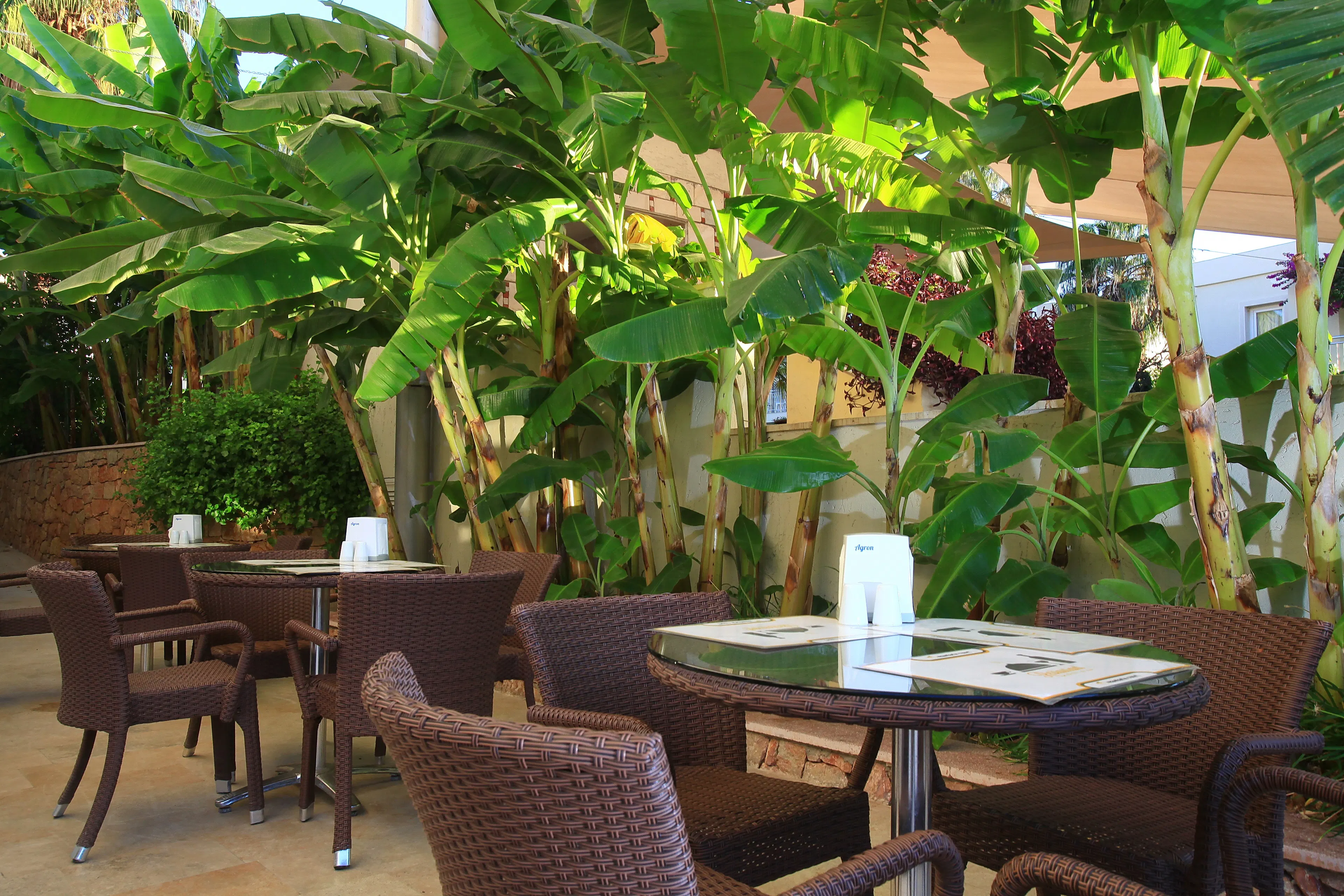 Mandarin Resort - foodAndBeverage