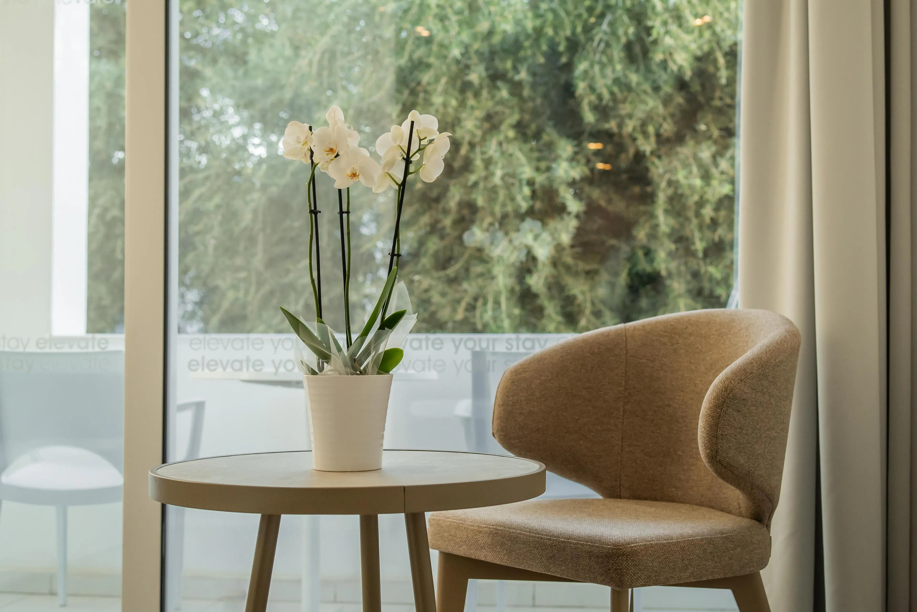 Margadina Lounge Hotel - foodAndBeverage