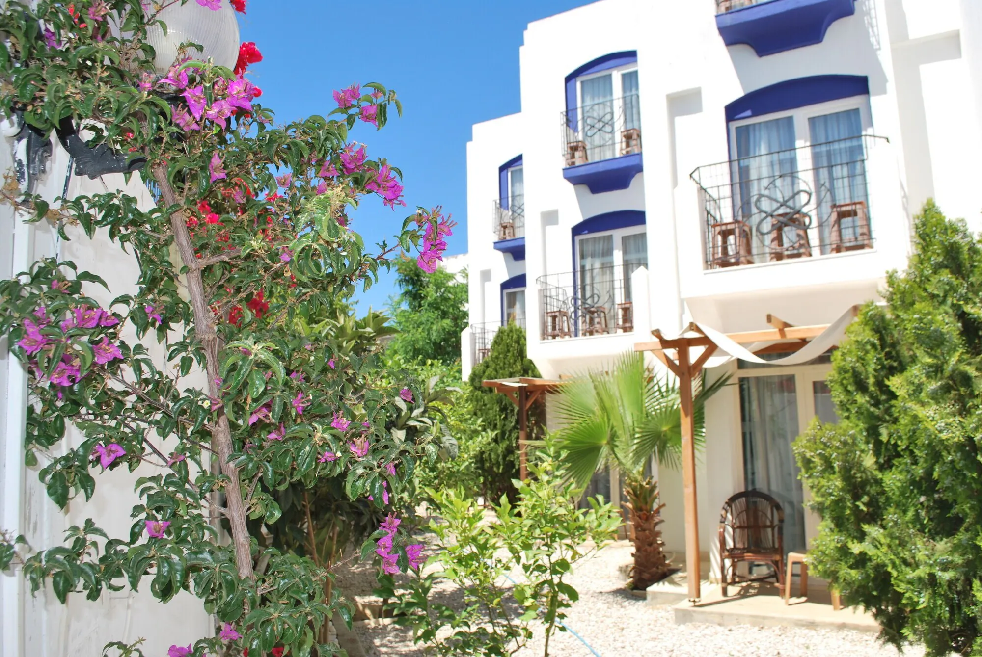 Serpina - exterior