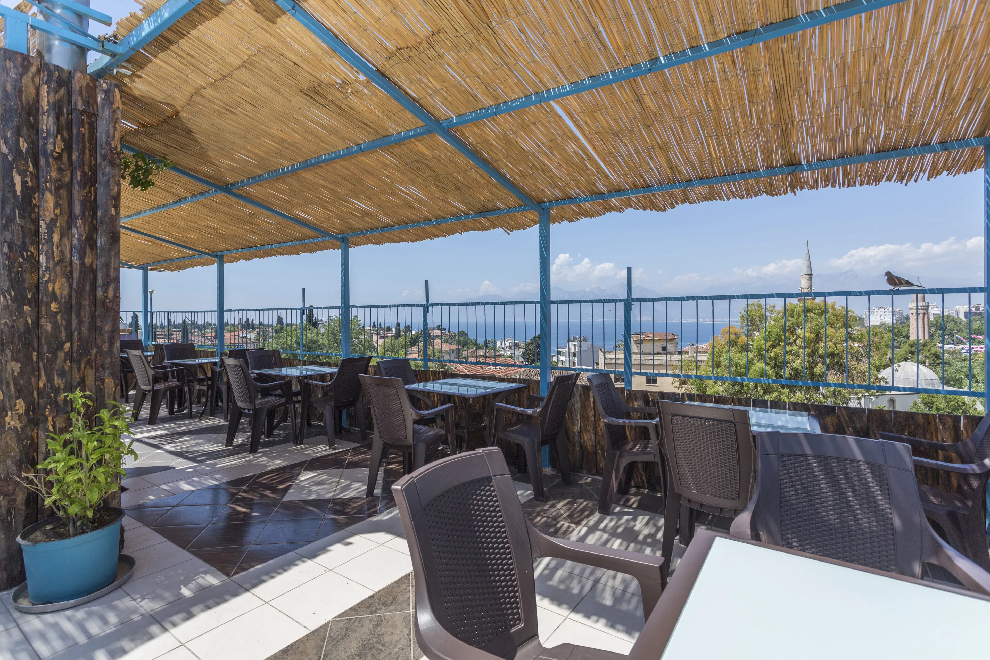 Twenty - foodAndBeverage