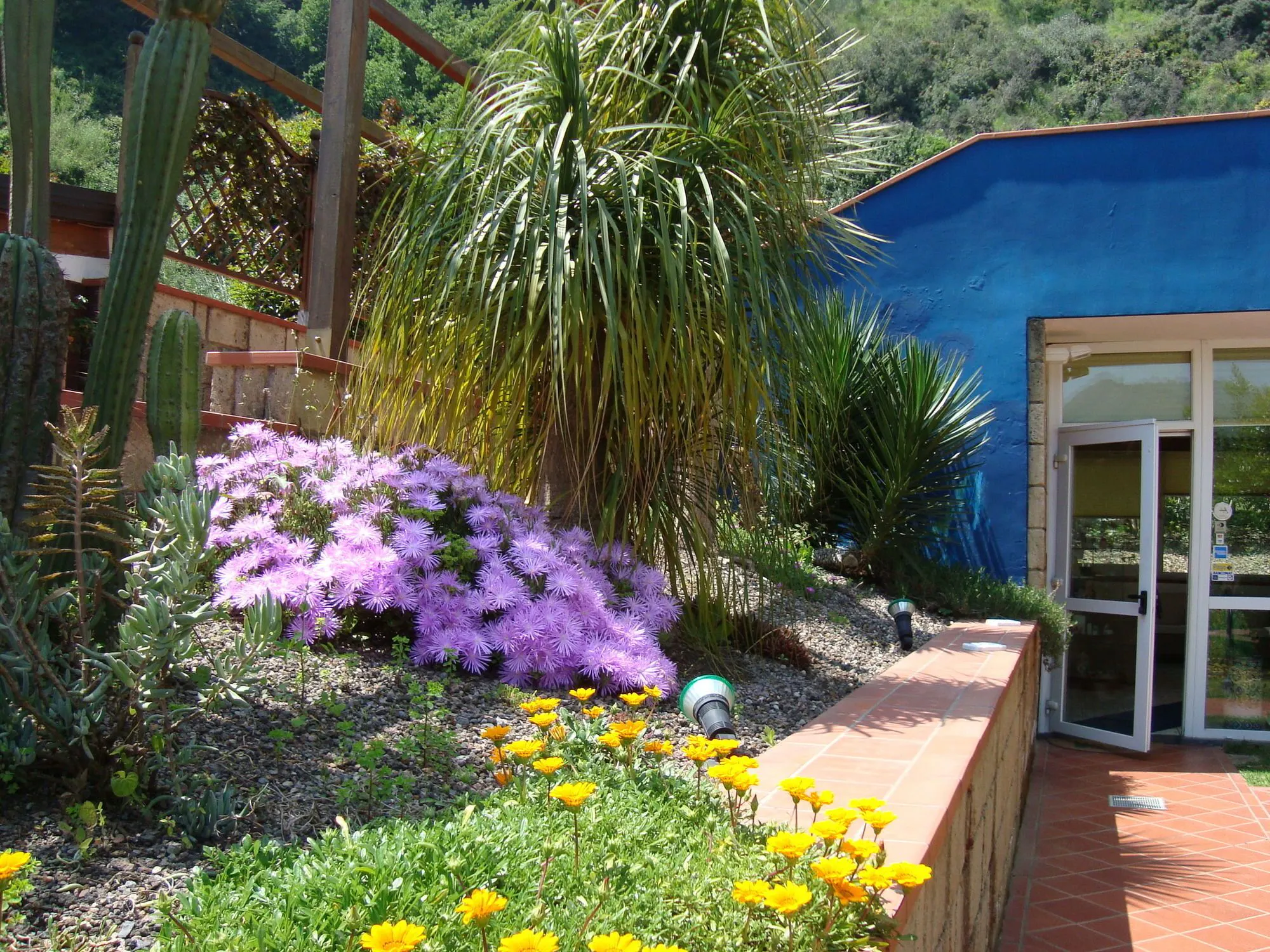 Agave Hotel - location