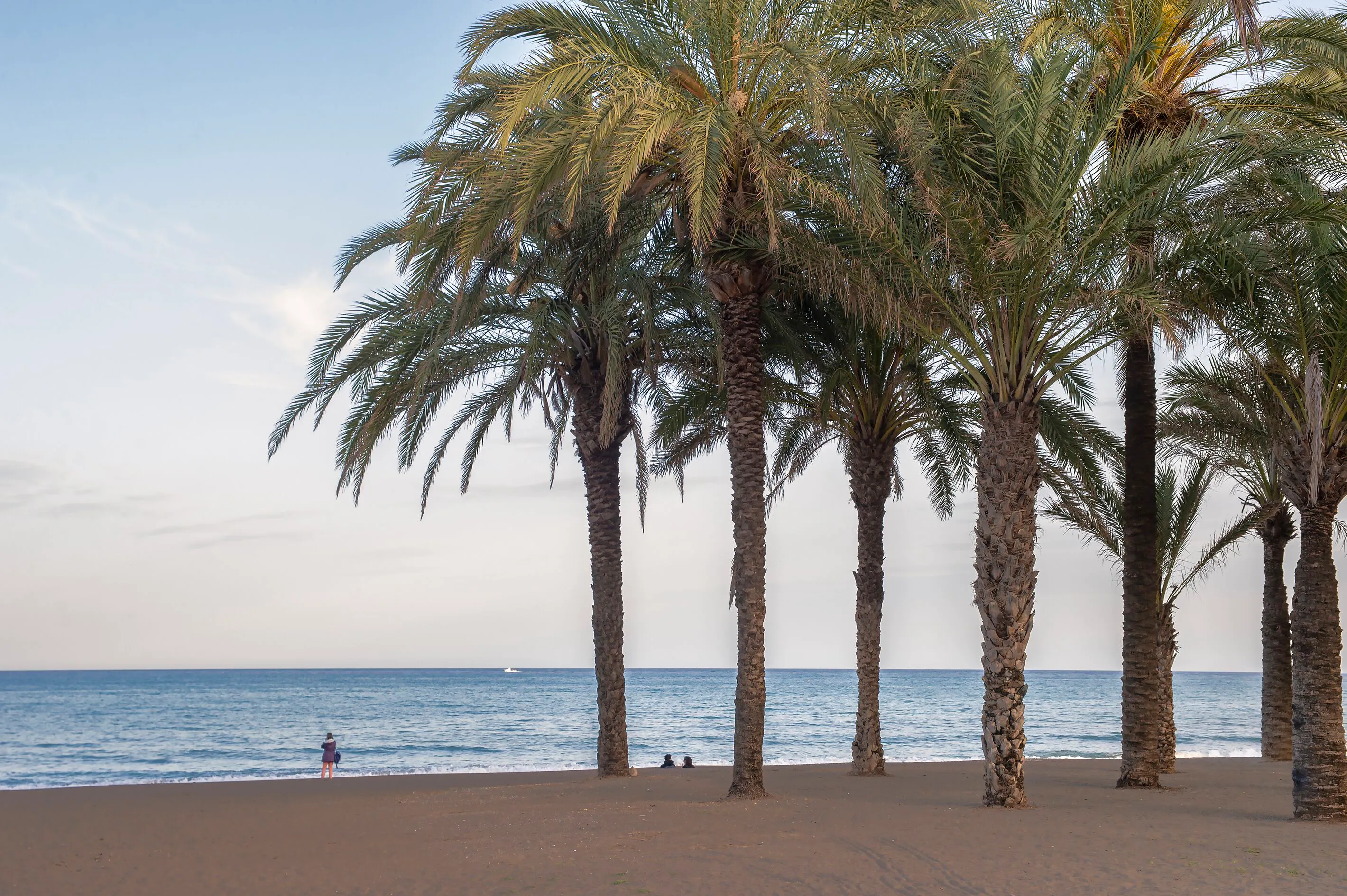 Hotel Costa Malaga by Pierre Vacances - beach