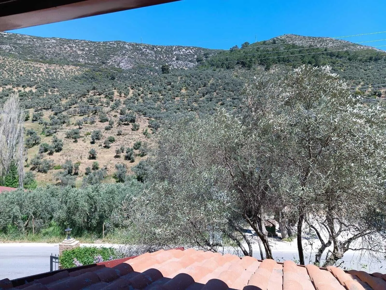 Sirince Klaseas Hotel & Restaurant - location