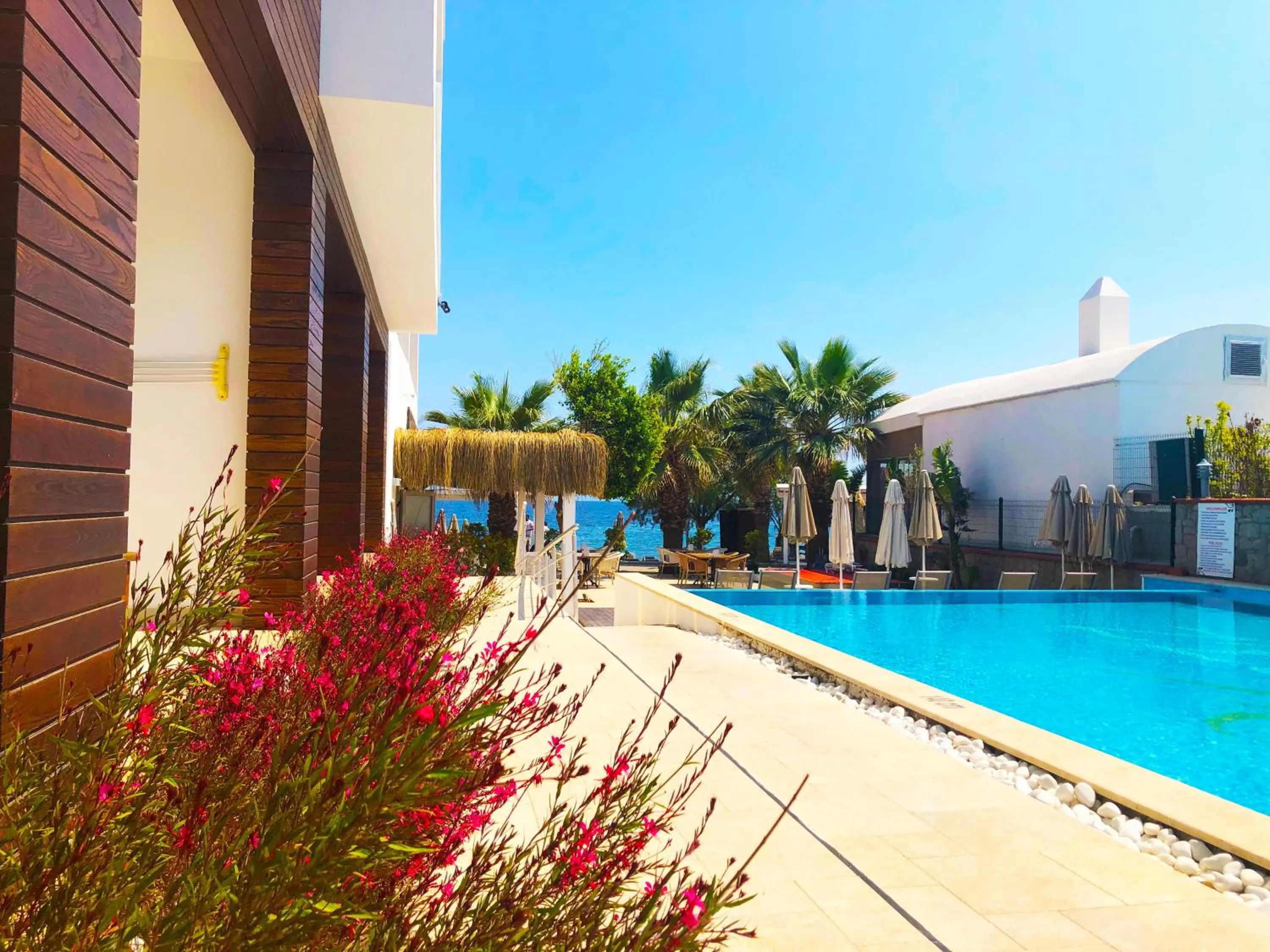 Zest Exclusive Hotel & Spa - pool